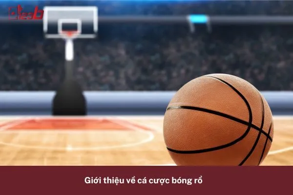 Khám Phá Cá Cược Bóng Rổ Kèo Chấp Đặc Biệt 123b – Thử Sức Ngay 2 Cá Cược Bóng Rổ