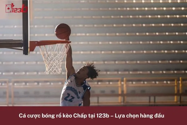 Khám Phá Cá Cược Bóng Rổ Kèo Chấp Đặc Biệt 123b – Thử Sức Ngay 3 Cá Cược Bóng Rổ