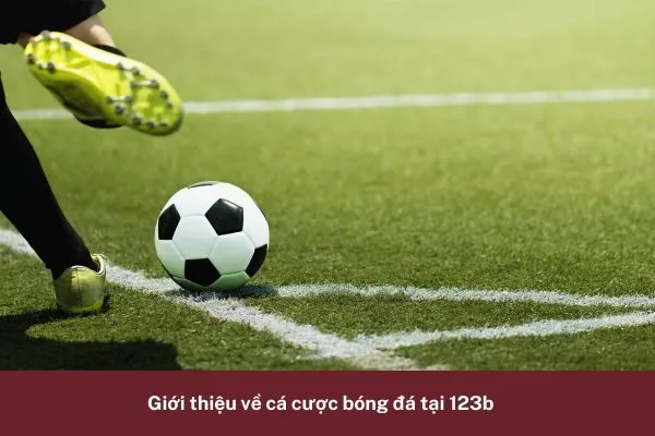 Hỏi Đáp Về Cá Cược Bóng Đá 123b: Tất Cả Câu Hỏi Về Bóng Đá 2 tất cả câu hỏi về bóng đá