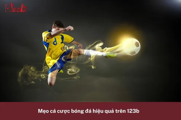 Hỏi Đáp Về Cá Cược Bóng Đá 123b: Tất Cả Câu Hỏi Về Bóng Đá 3 tất cả câu hỏi về bóng đá