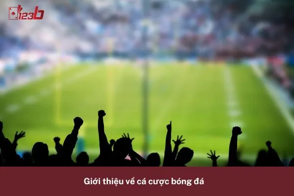 Cá Cược Bóng Đá Kèo Châu Á Cực Kỳ Hấp Dẫn 123b – Đặt Cược Ngay 2 Cá Cược Bóng Đá