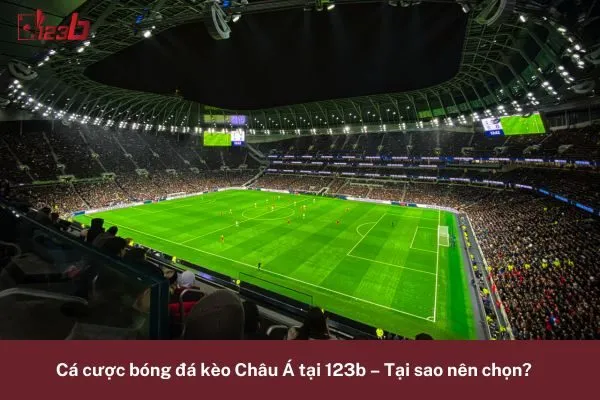 Cá Cược Bóng Đá Kèo Châu Á Cực Kỳ Hấp Dẫn 123b – Đặt Cược Ngay 3 Cá Cược Bóng Đá