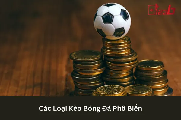 Cá Cược Bóng Đá 123b Kèo Bóng Đá Cập Nhật Mới 3 Kèo bóng đá cập nhật mới